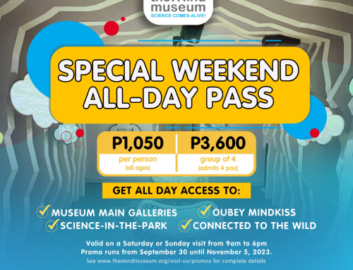 Special Weekend All-day Pass